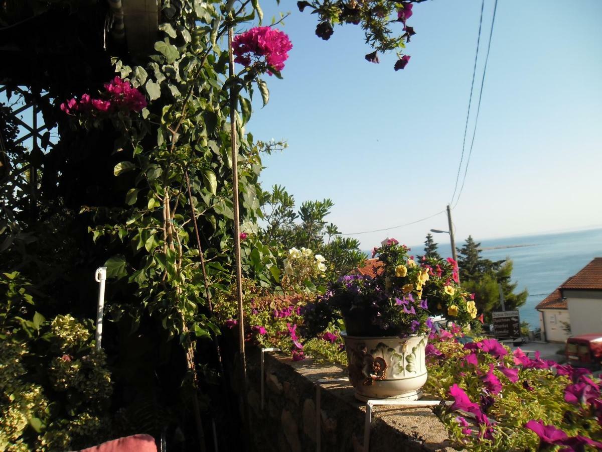 Mirta Apartment